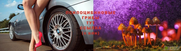 ГАЛЛЮЦИНОГЕННЫЕ ГРИБЫ Карпинск