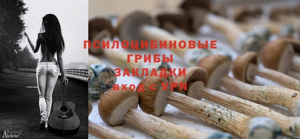 соль ск Карталы