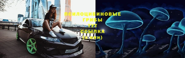 винт Касимов
