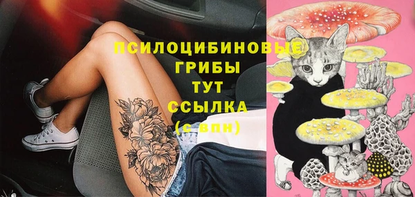 винт Касимов