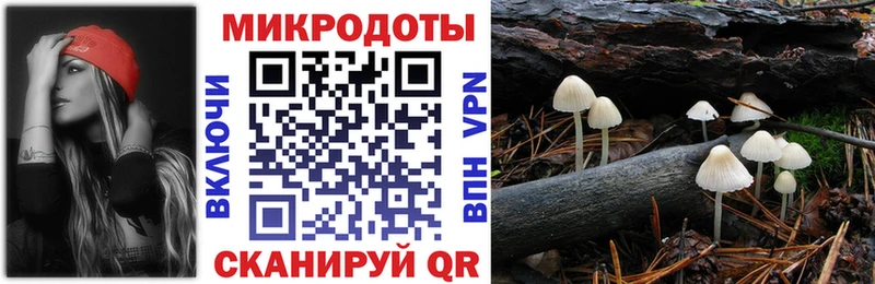 Псилоцибиновые грибы мухоморы  Купить где  Нижнеудинск 